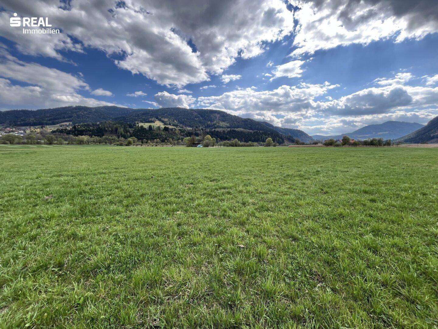 Ausgedehnte grüne Wiesenlandschaft mit bewaldeten Bergen unter einem teilweise bewölkten Himmel.