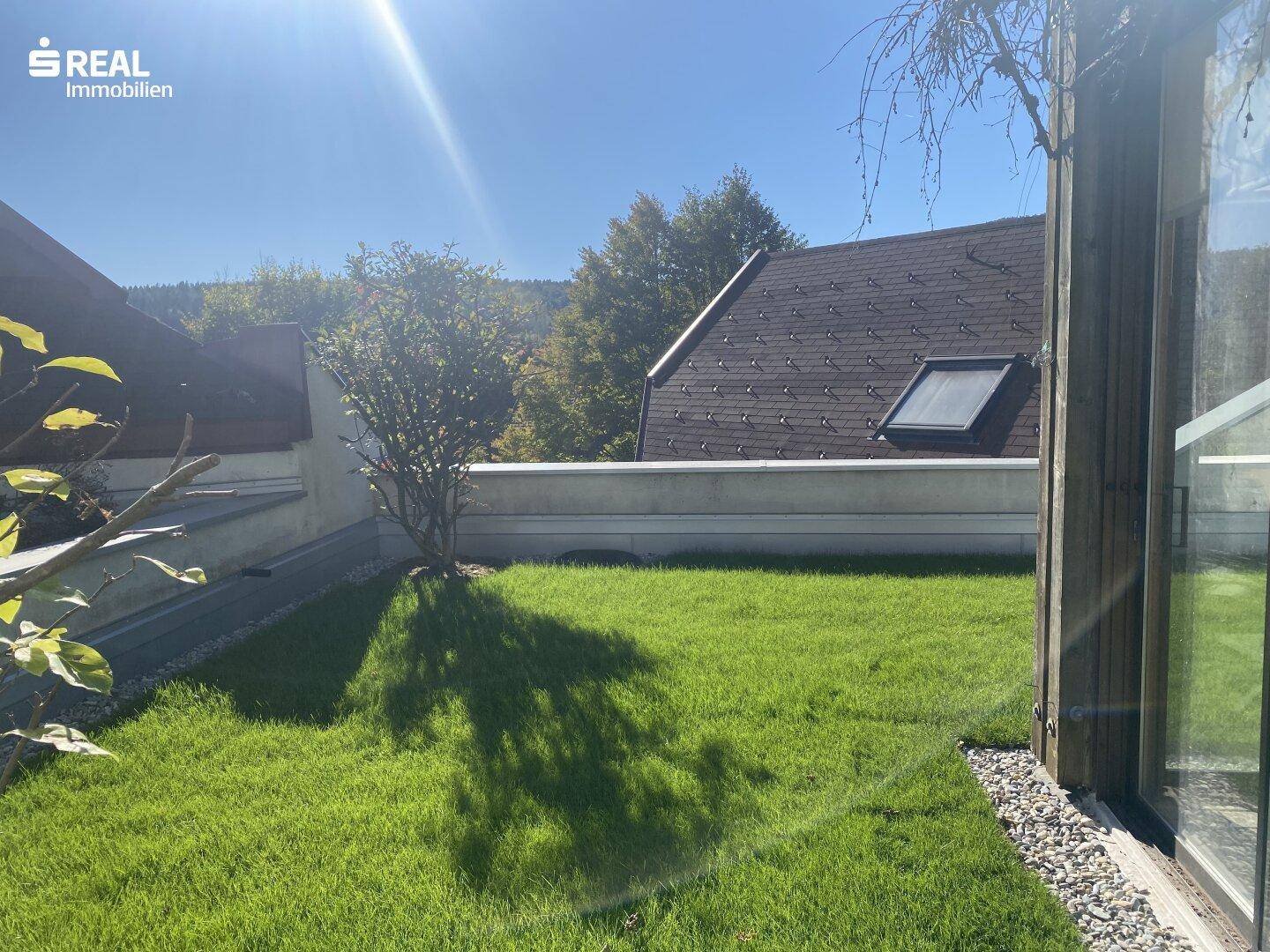 Gepflegter Rasenbereich mit jungem Baum und sonnigem Ausblick auf die Umgebung.