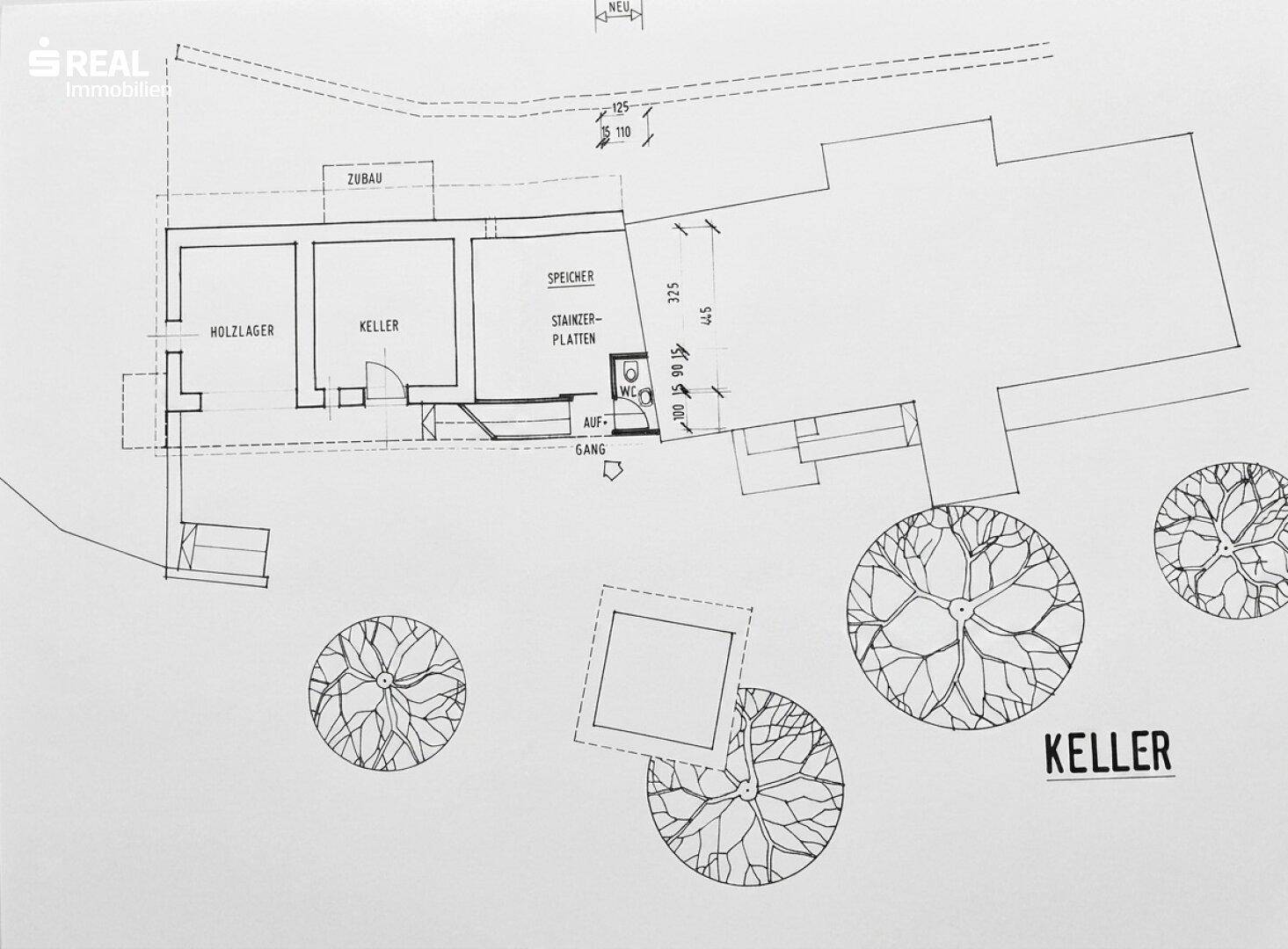 Grundriss des Kellergeschosses mit Holzlager, Kellerraum und WC.