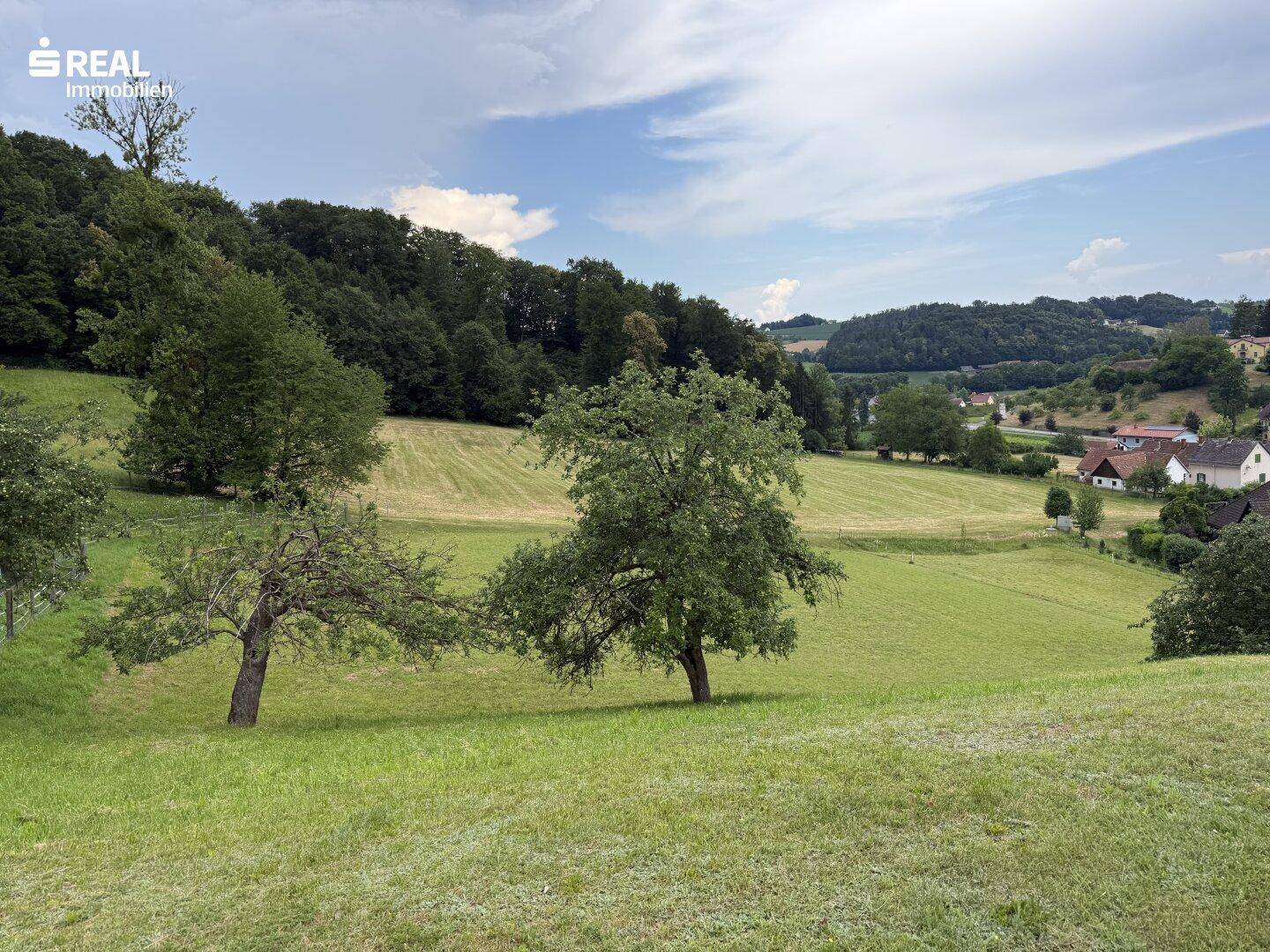 Hier könnte Ihr neuer Wohntraum stehen - Baugrund in absoluter Aussichtslage in Gniebing - Ansicht 6