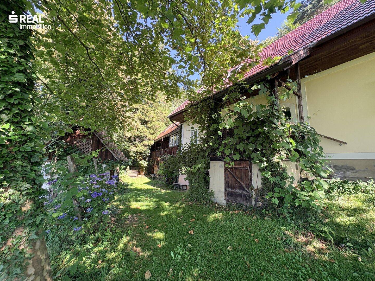 Seitlicher Blick auf das Haus mit bewachsenen Wänden und einem schmalen Pfad im Grünen.