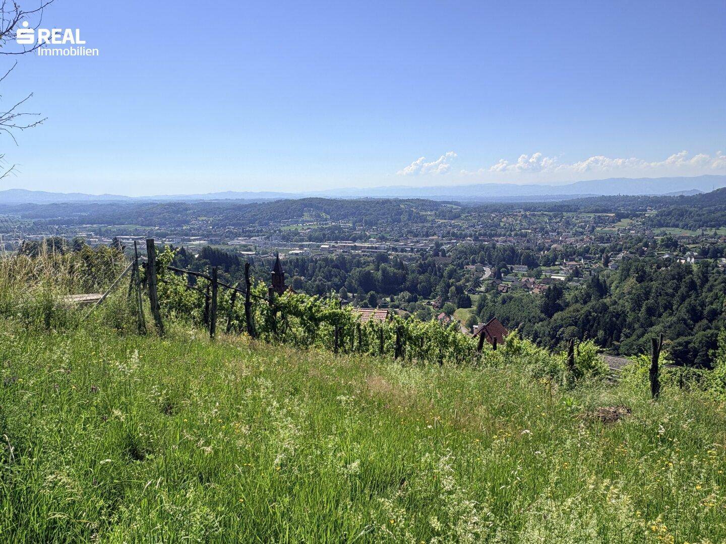 Malerischer Blick über Weinberge und eine weite Landschaft mit Bergen am Horizont.