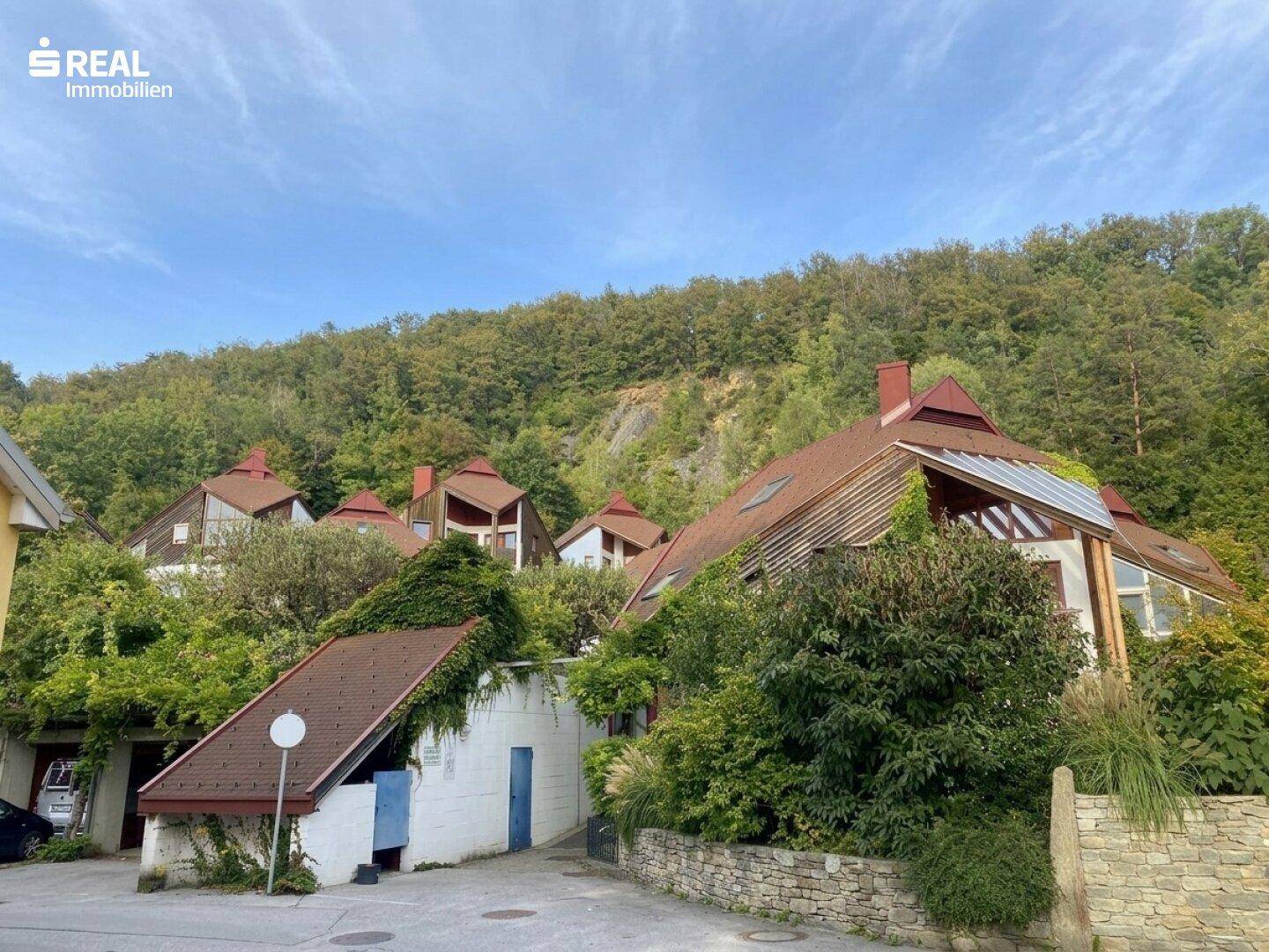 Mehrere Häuser in einer grünen Hanglage mit üppiger Vegetation und bewaldetem Hintergrund.