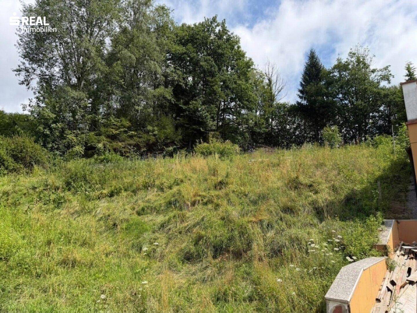Unbebautes Grundstück mit üppiger Vegetation und Baumbestand in ländlicher Umgebung.