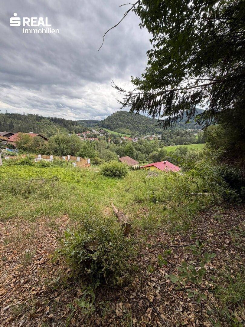 Panoramablick über ein grünes Tal mit Häusern und bewaldeten Bergen unter bewölktem Himmel.
