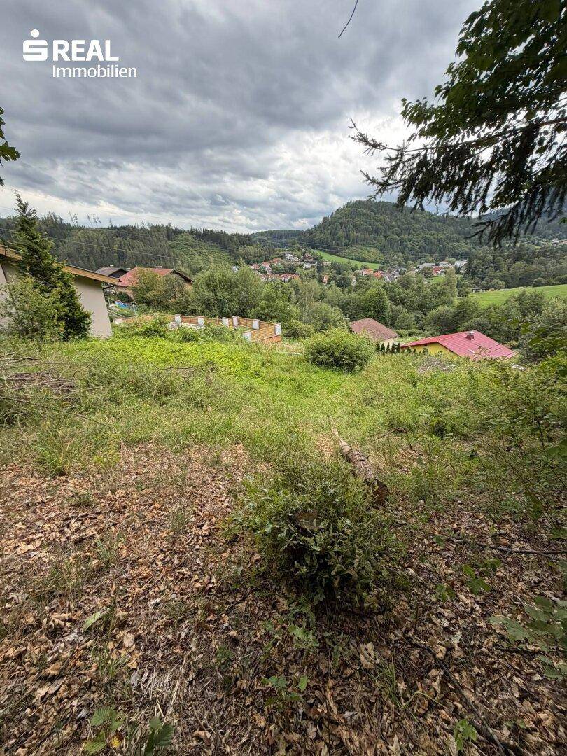 Weitläufiger Ausblick auf eine ländliche Landschaft mit Häusern und bewaldeten Hügeln.