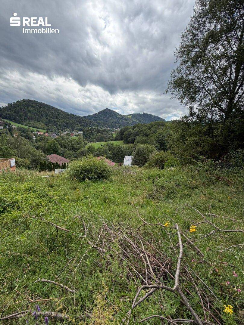 Idyllischer Blick auf eine bergige Landschaft mit üppiger Vegetation und vereinzelten Häusern.