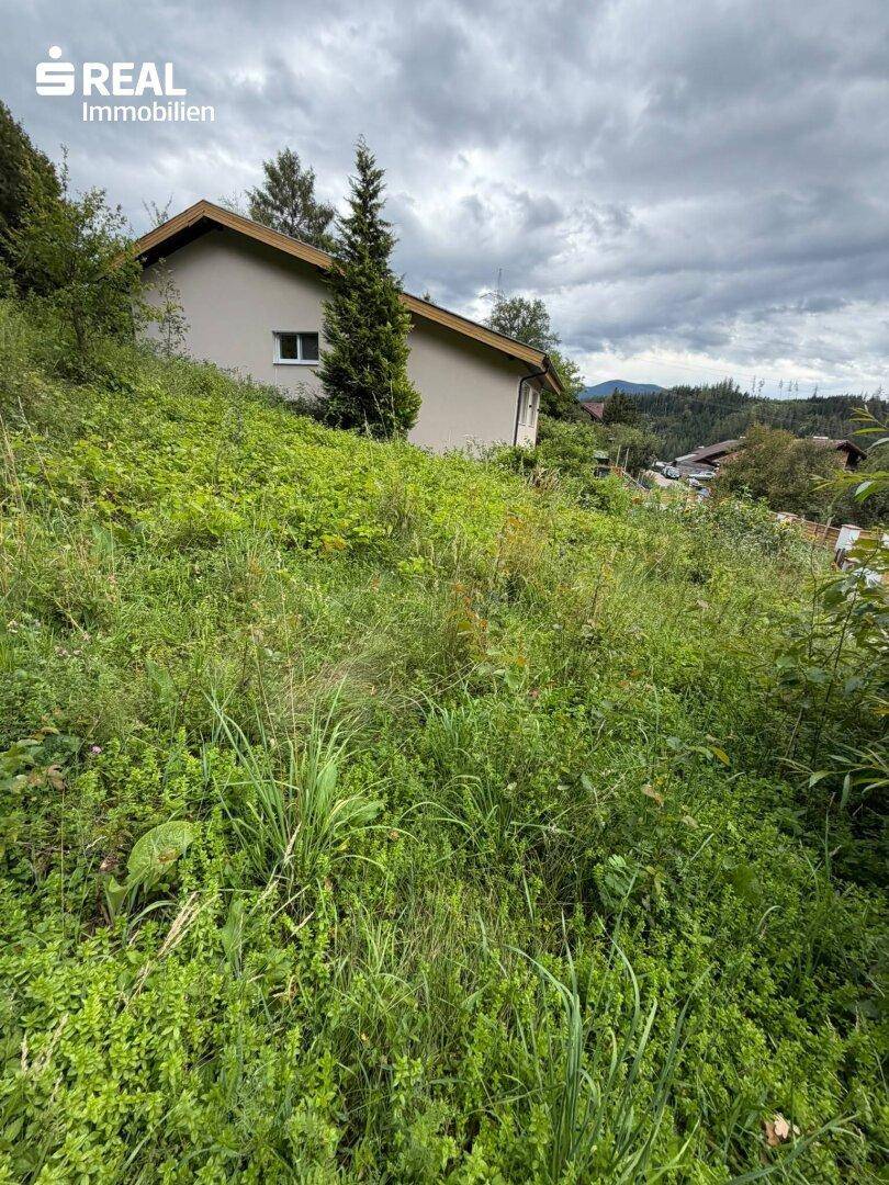 Kleines Haus auf einem grünen Hang, umgeben von Bäumen und Natur, unter bewölktem Himmel.