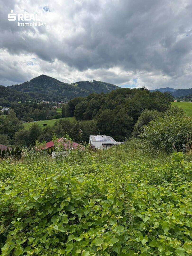 Weitblick über ein grünes Tal mit Häusern und bewaldeten Bergen, unter bewölktem Himmel.