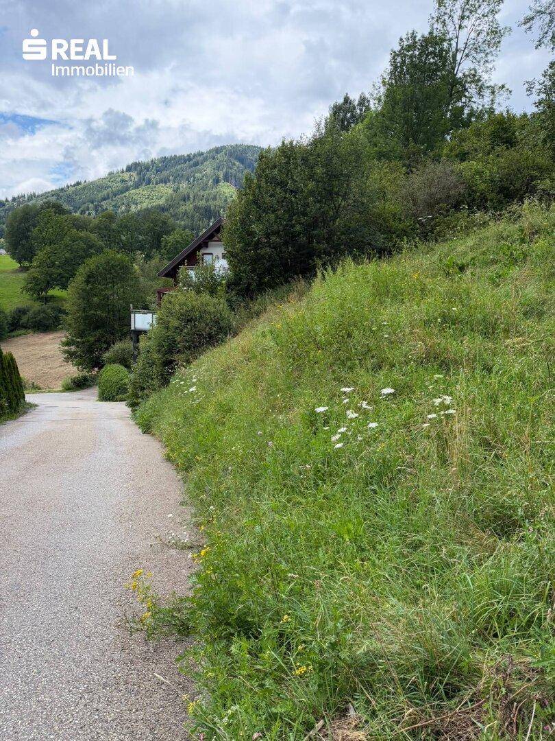 Schotterweg führt einen grünen Hang hinauf, mit einem Haus und Bergen im Hintergrund.