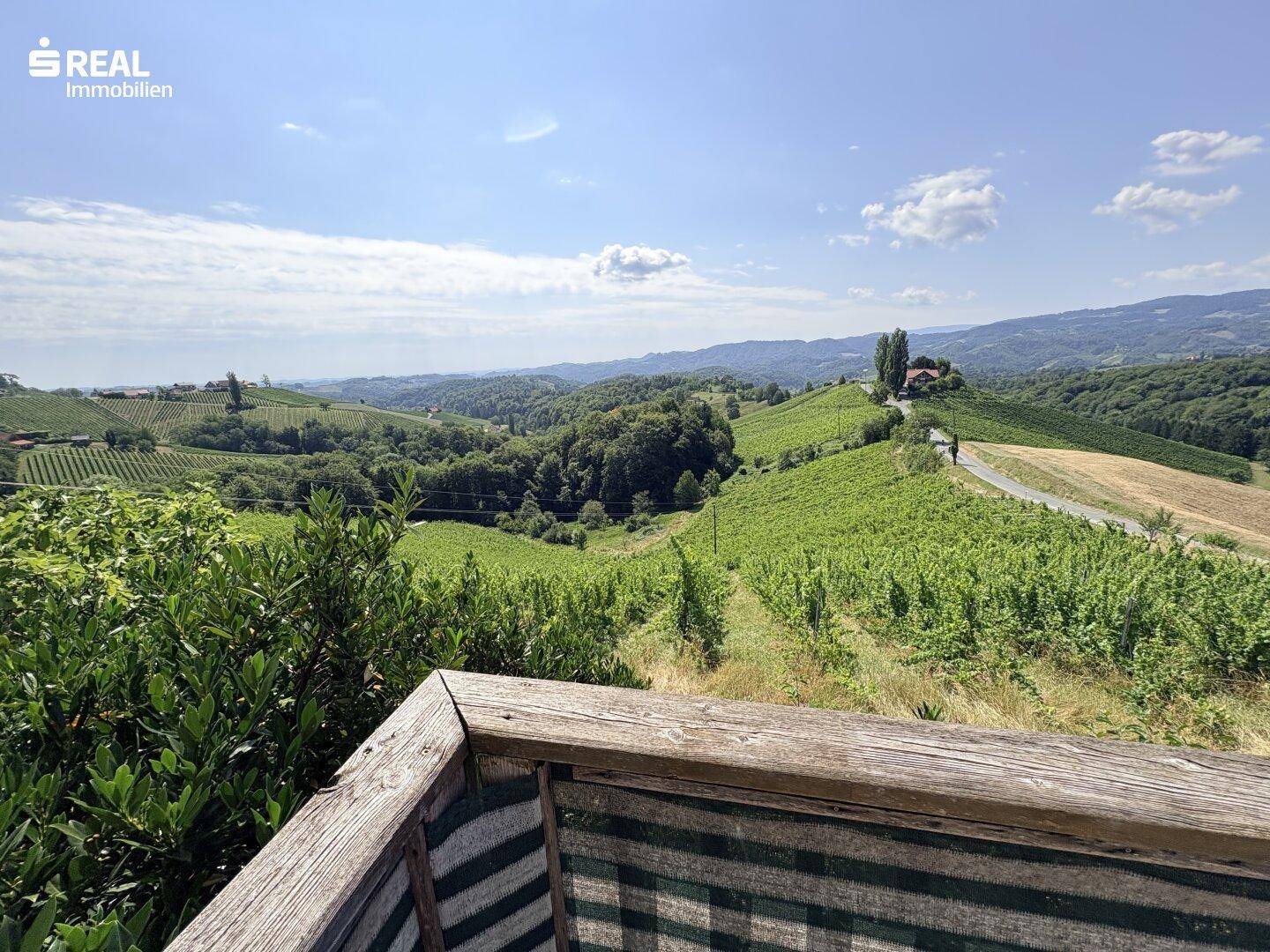 Panoramablick über sanfte Hügel und weitläufige Weinberge unter blauem Himmel.