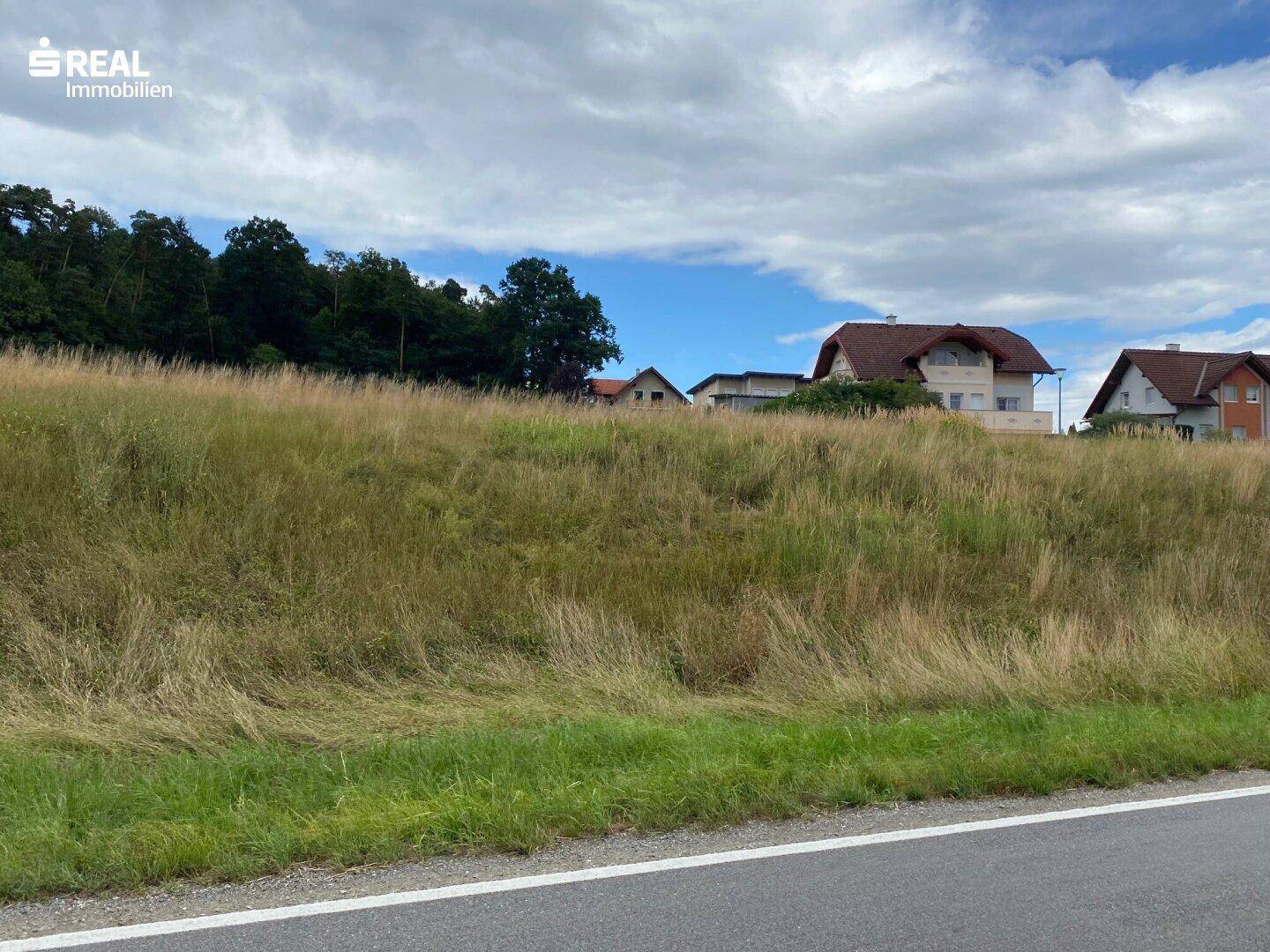 Grünes Feld mit Blick auf Wohnhäuser und bewaldete Hügel in der Ferne.