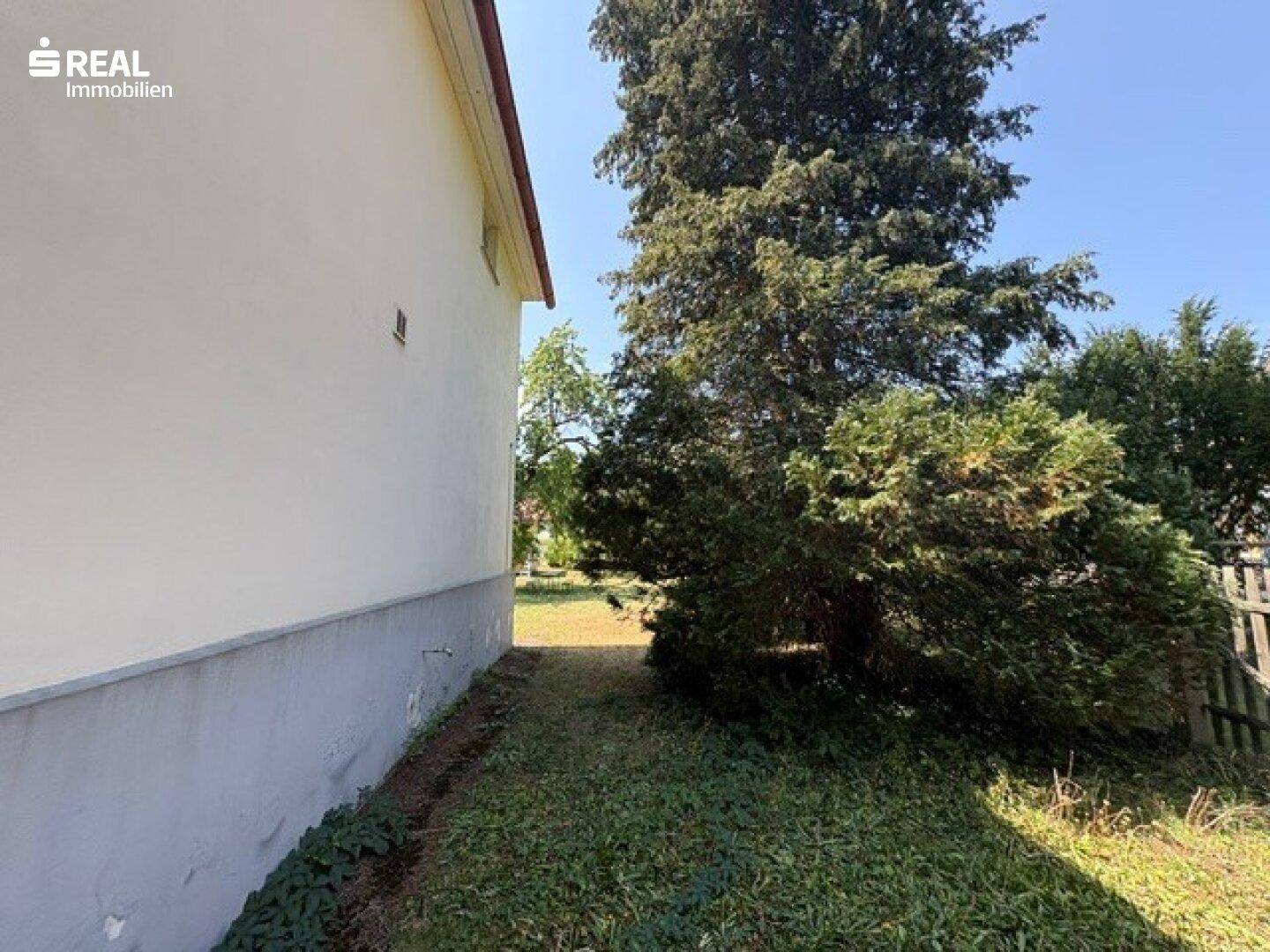 Schmaler Gartenweg entlang der Hauswand, umgeben von üppigem Grün und hohen Bäumen.