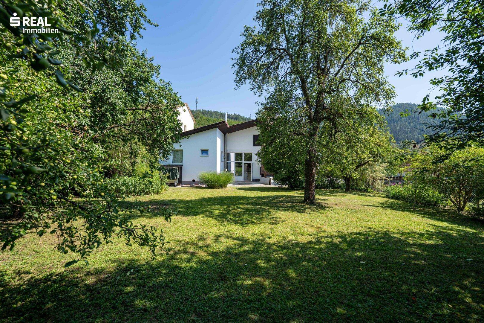 Sonniger Gartenbereich mit altem Baumbestand und Blick auf die Hausfassade im Hintergrund.