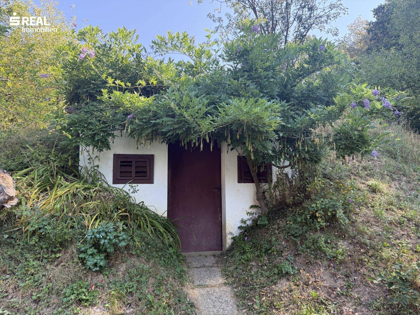 Kleiner Nebeneingang oder Kellerzugang, umgeben von üppiger Vegetation und Bäumen.