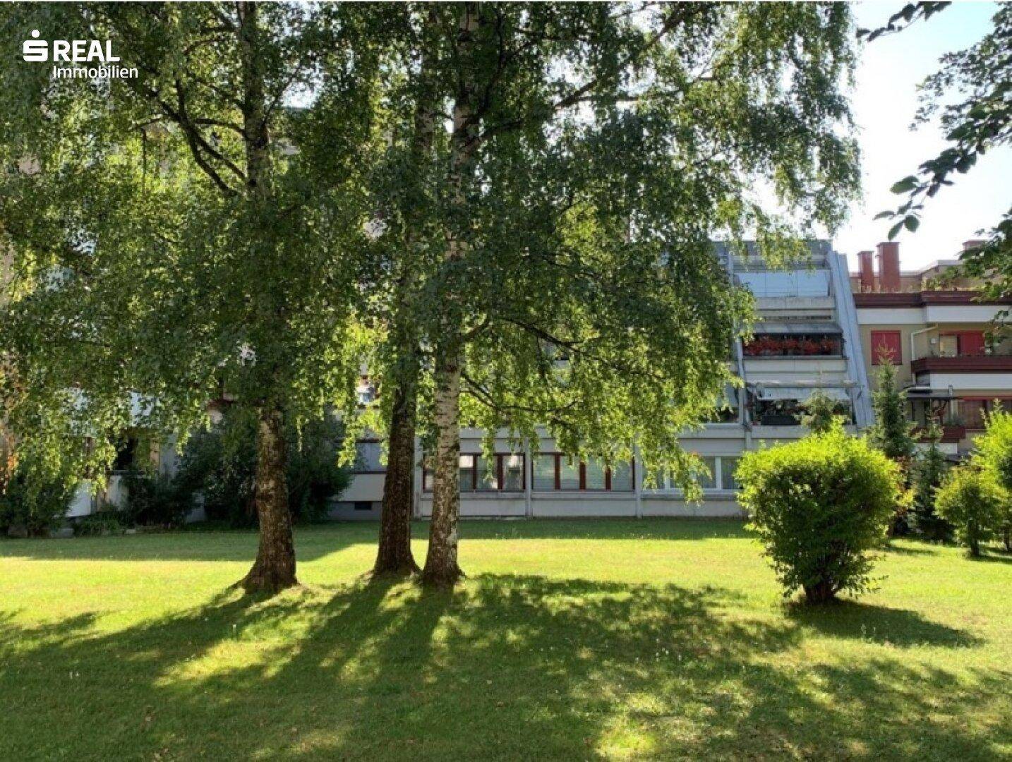 Sonnige Rasenfläche mit mehreren Birkenbäumen vor einem Wohngebäude mit vielen Fenstern.