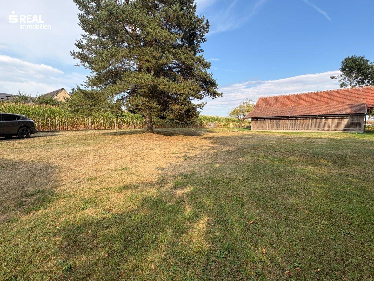 Weitläufige Rasenfläche mit einem Nebengebäude und angrenzendem Maisfeld im Hintergrund.