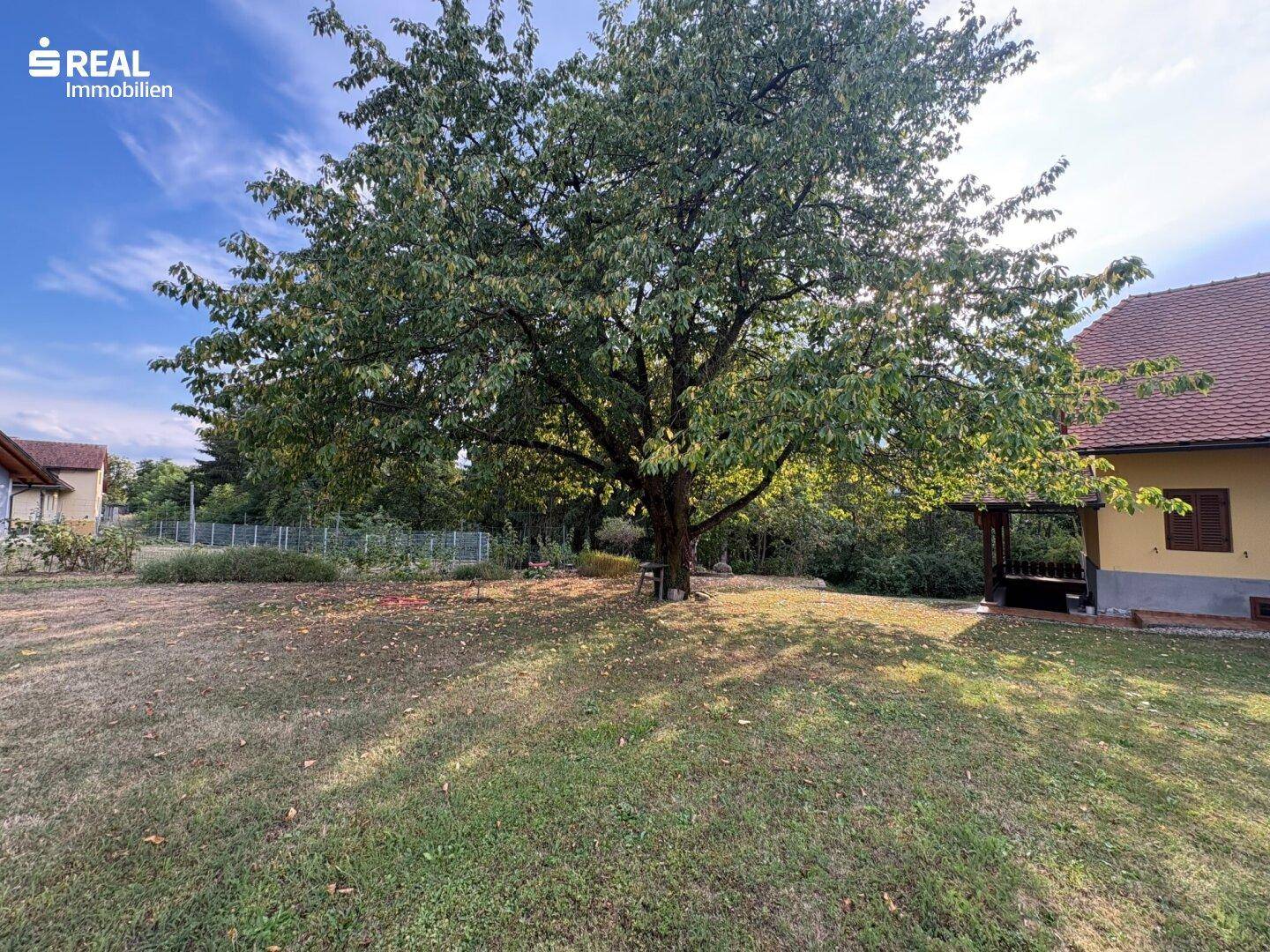 Großer, alter Baum im weitläufigen Gartenbereich des Anwesens an einem sonnigen Tag.