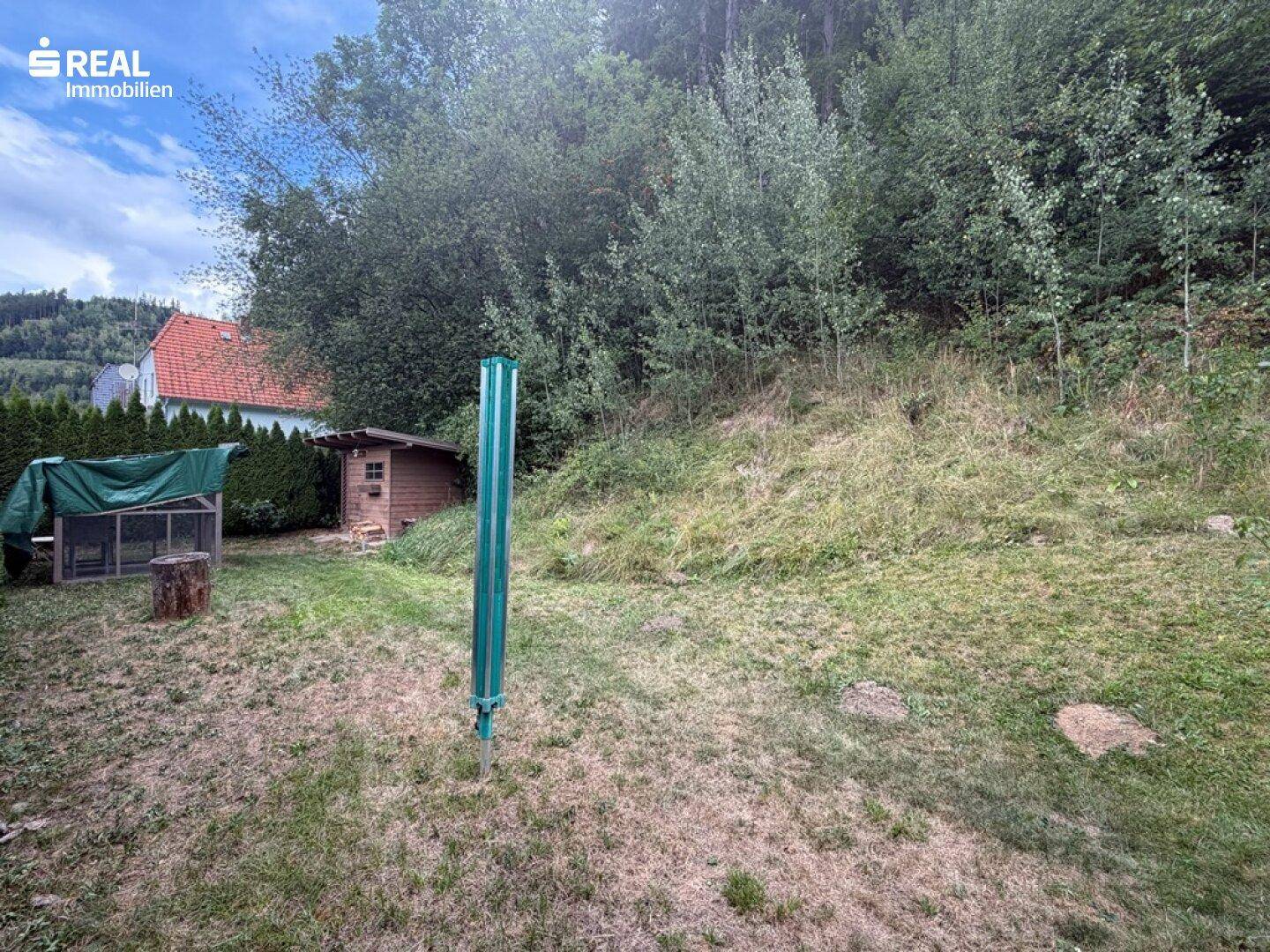 Gartenbereich mit Rasenfläche, kleinem Geräteschuppen und Wäschespinne am bewaldeten Hang.