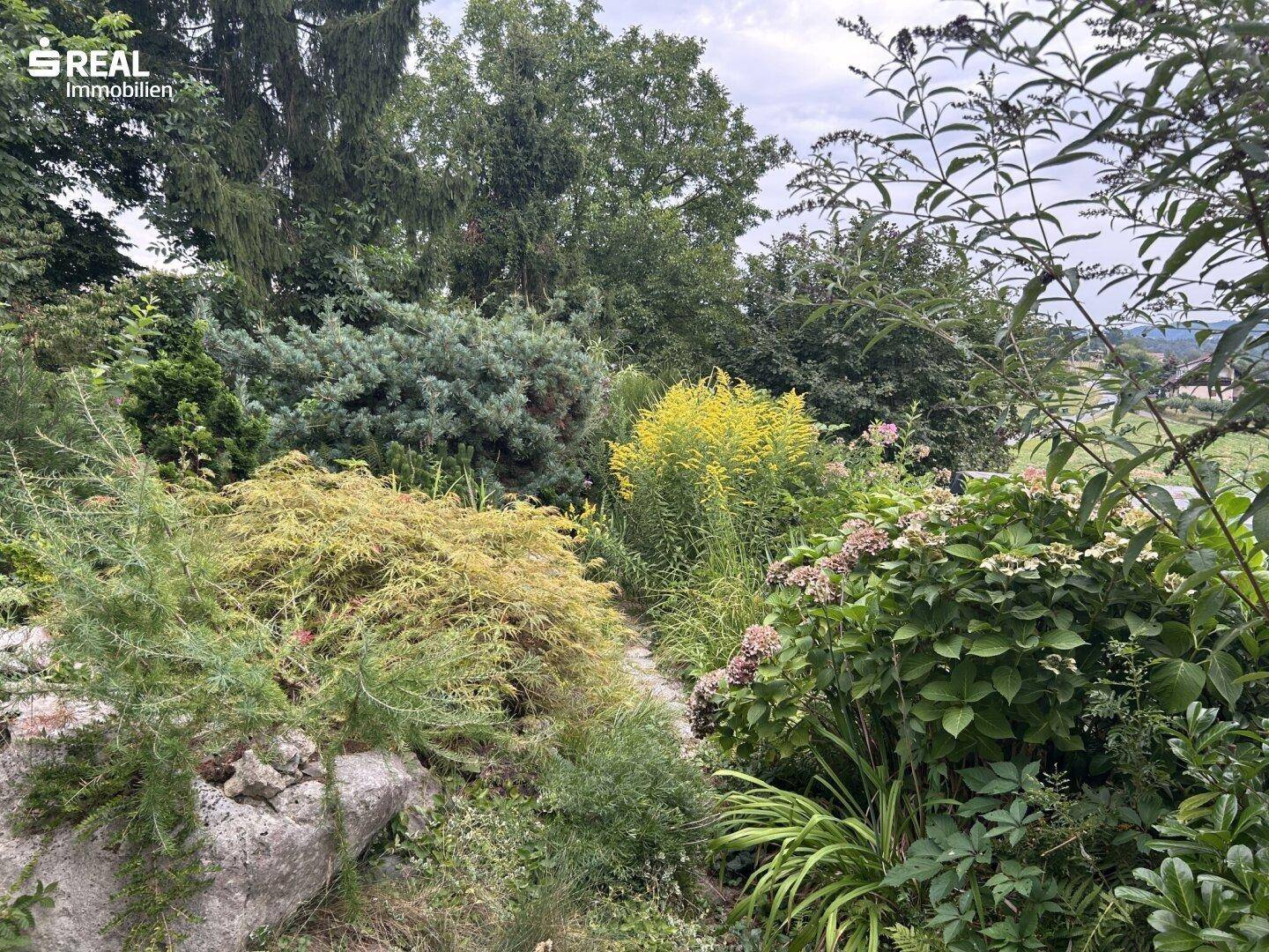 Vielfältiger Garten mit verschiedenen Pflanzen, Sträuchern und einem Blick in die Ferne.