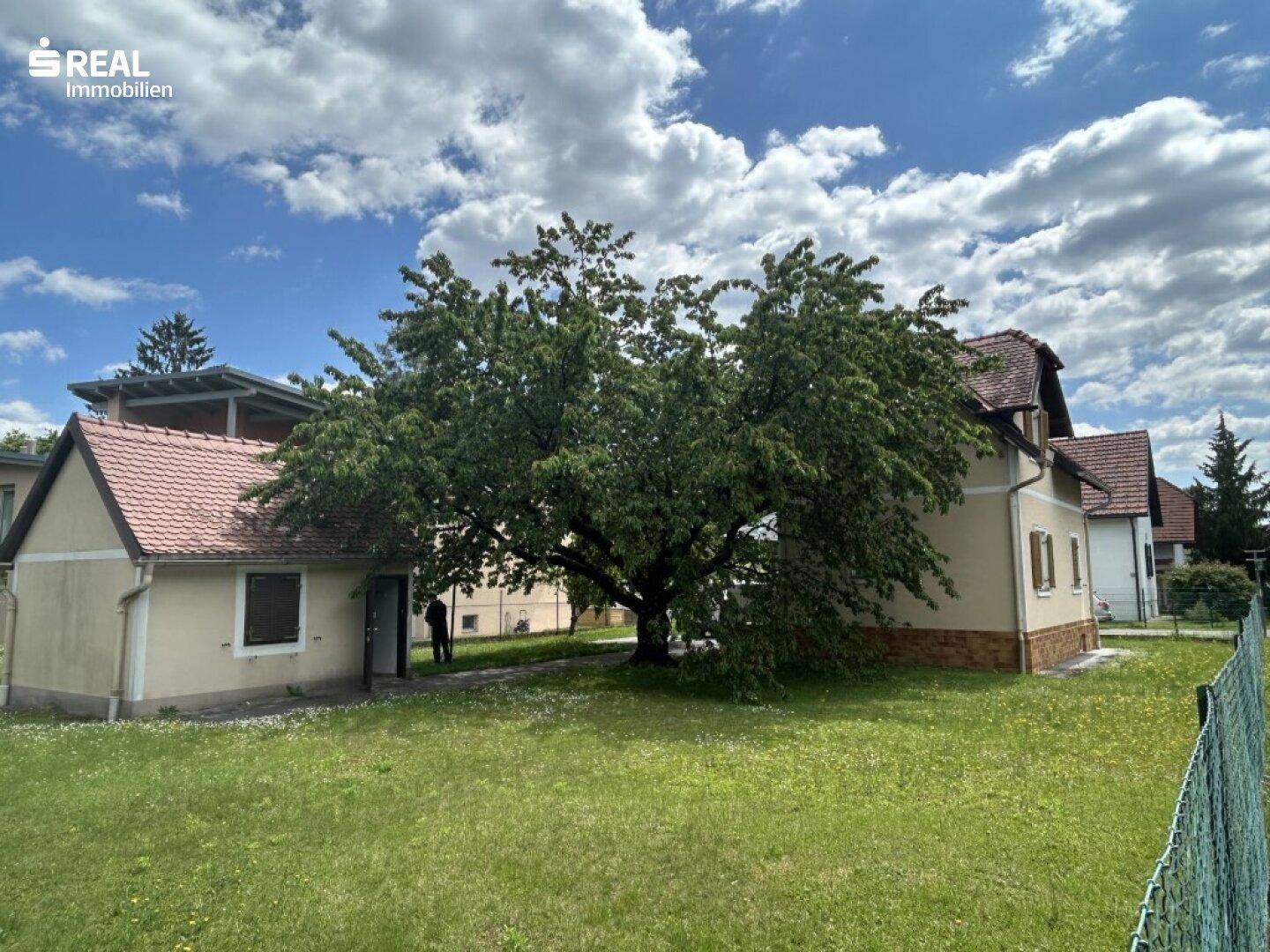 Weitläufiger Garten mit üppigem Rasen, einem großen Baum und einem kleinen Schuppen.