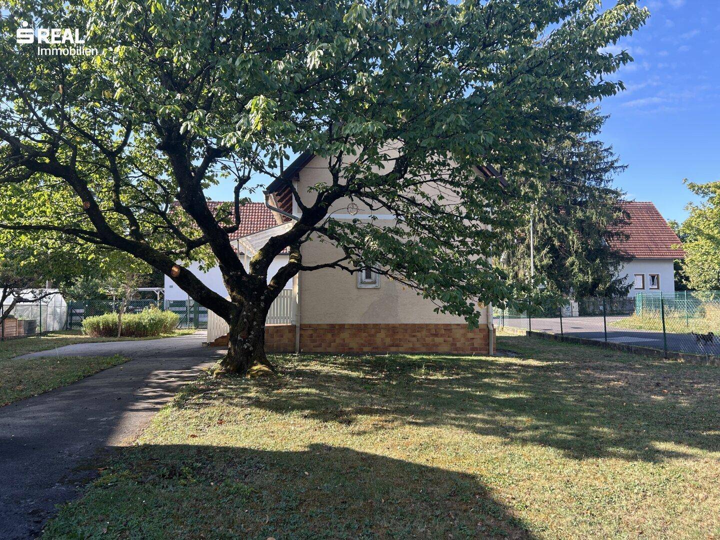 Seitenansicht des Grundstücks mit einem großen Baum und einer Zufahrt.