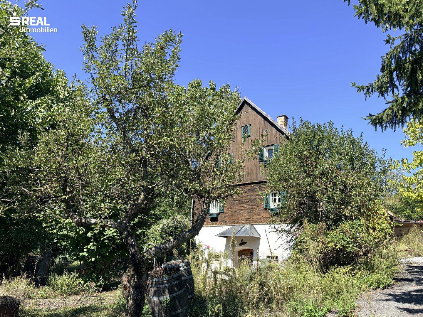 Charmantes Holzhaus mit grünen Fensterläden, eingebettet in eine natürliche, grüne Umgebung.