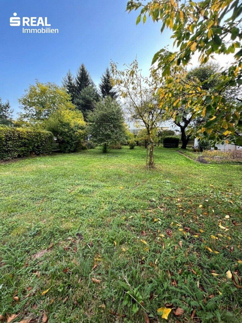 Große, gepflegte Rasenfläche mit verschiedenen Bäumen und Sträuchern im weitläufigen Garten.