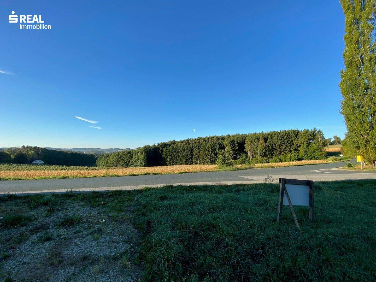 Weitläufiger Blick über grüne Felder und dichte Wälder unter klarem, blauem Himmel.
