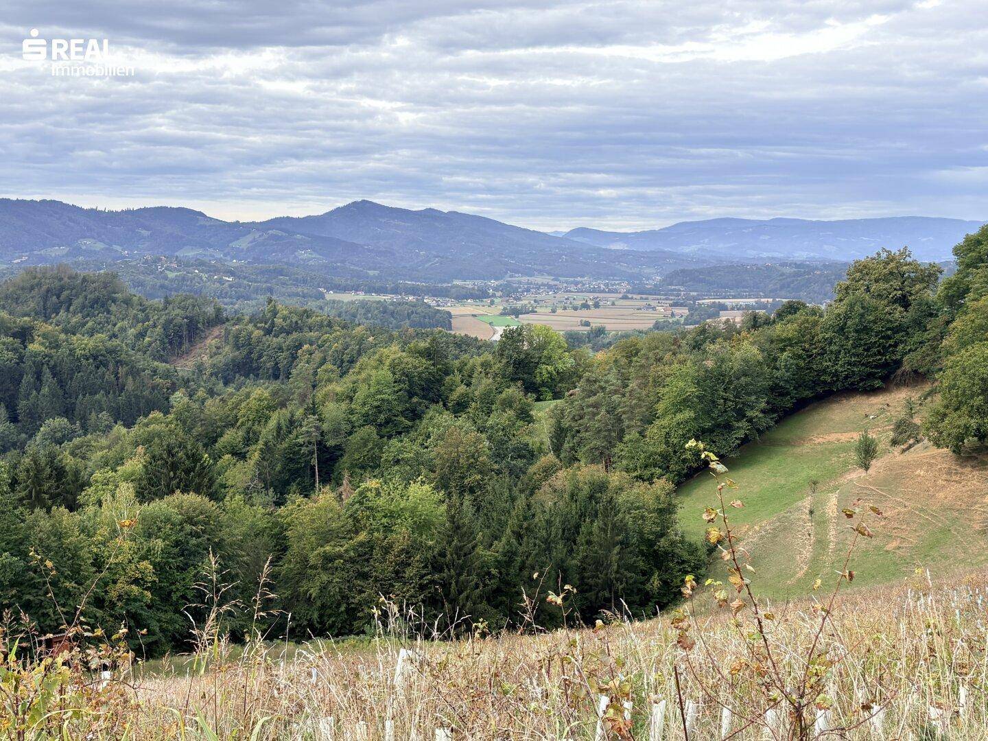 Weitläufige Landschaft mit grünen Hügeln, Wäldern und einem Tal in der Ferne unter bewölktem Himmel.
