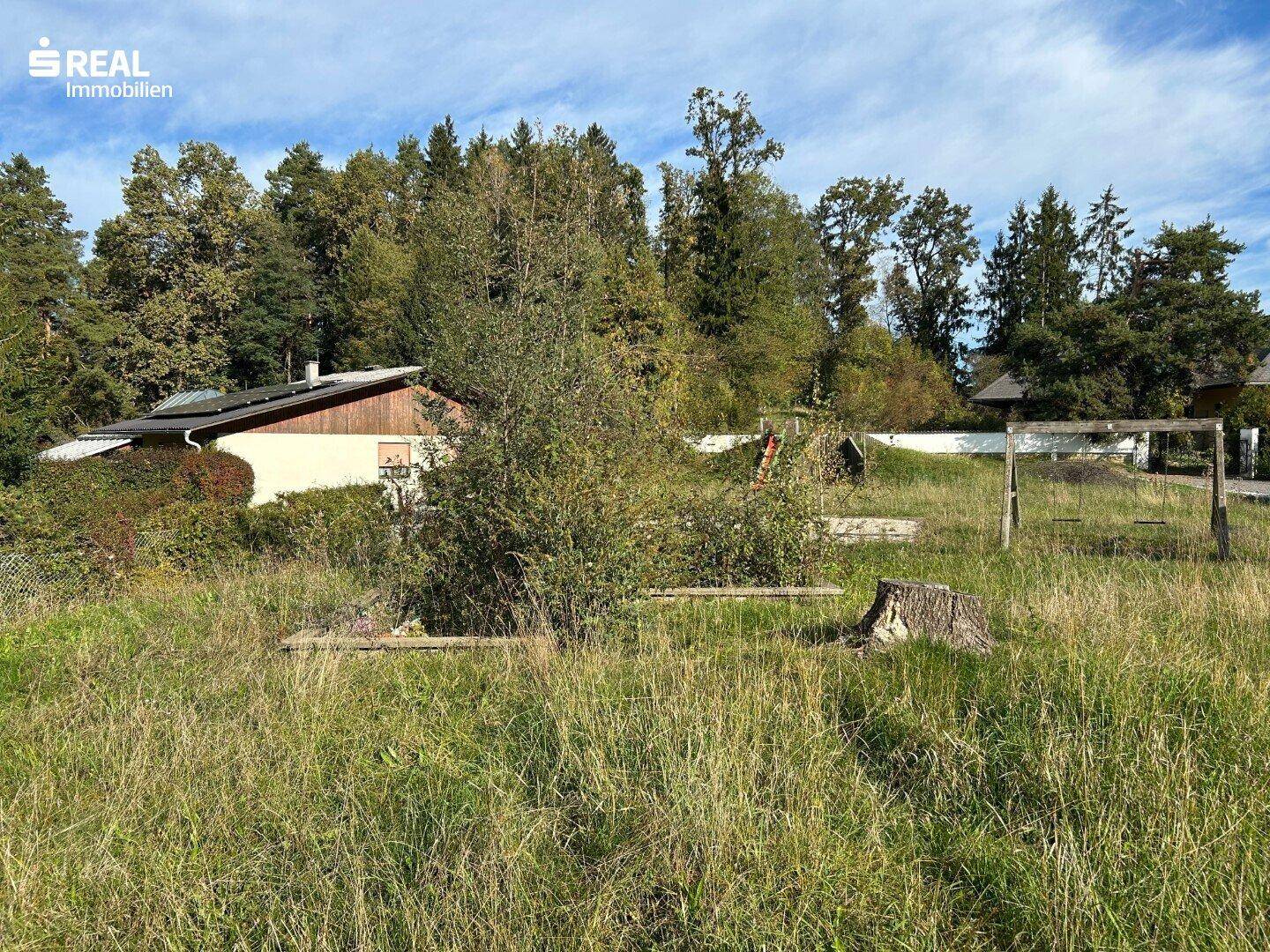 Großes Gartengrundstück mit altem Baumbestand und einem Haus im Hintergrund.