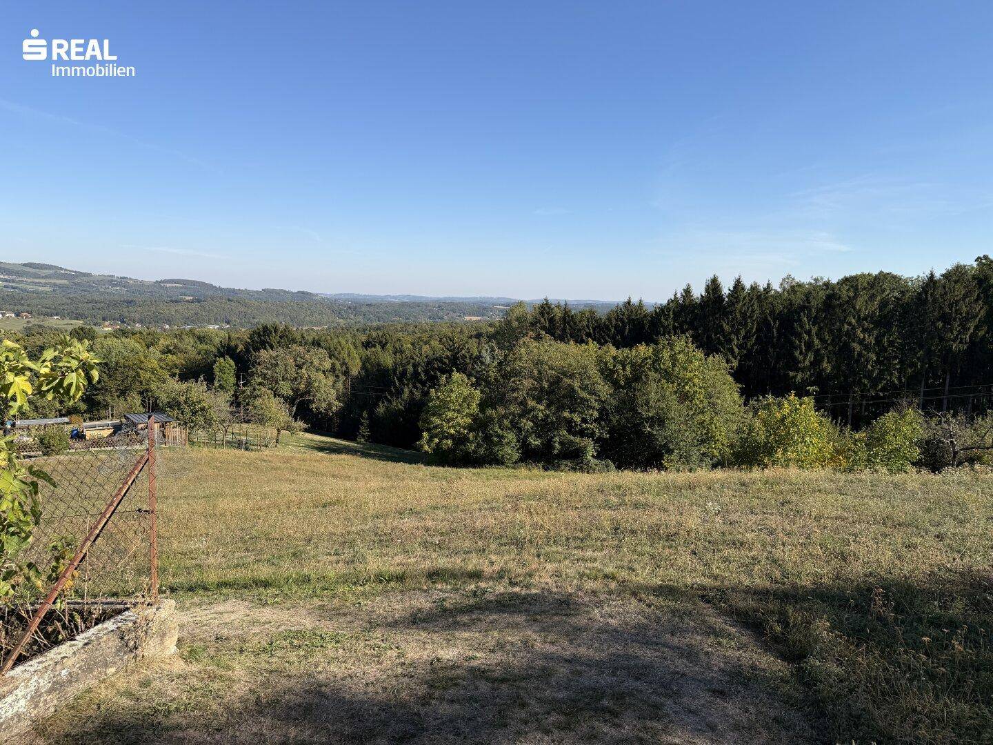 Weitläufige grüne Landschaft mit Feldern und Wäldern unter klarem blauem Himmel, idyllische Aussicht.
