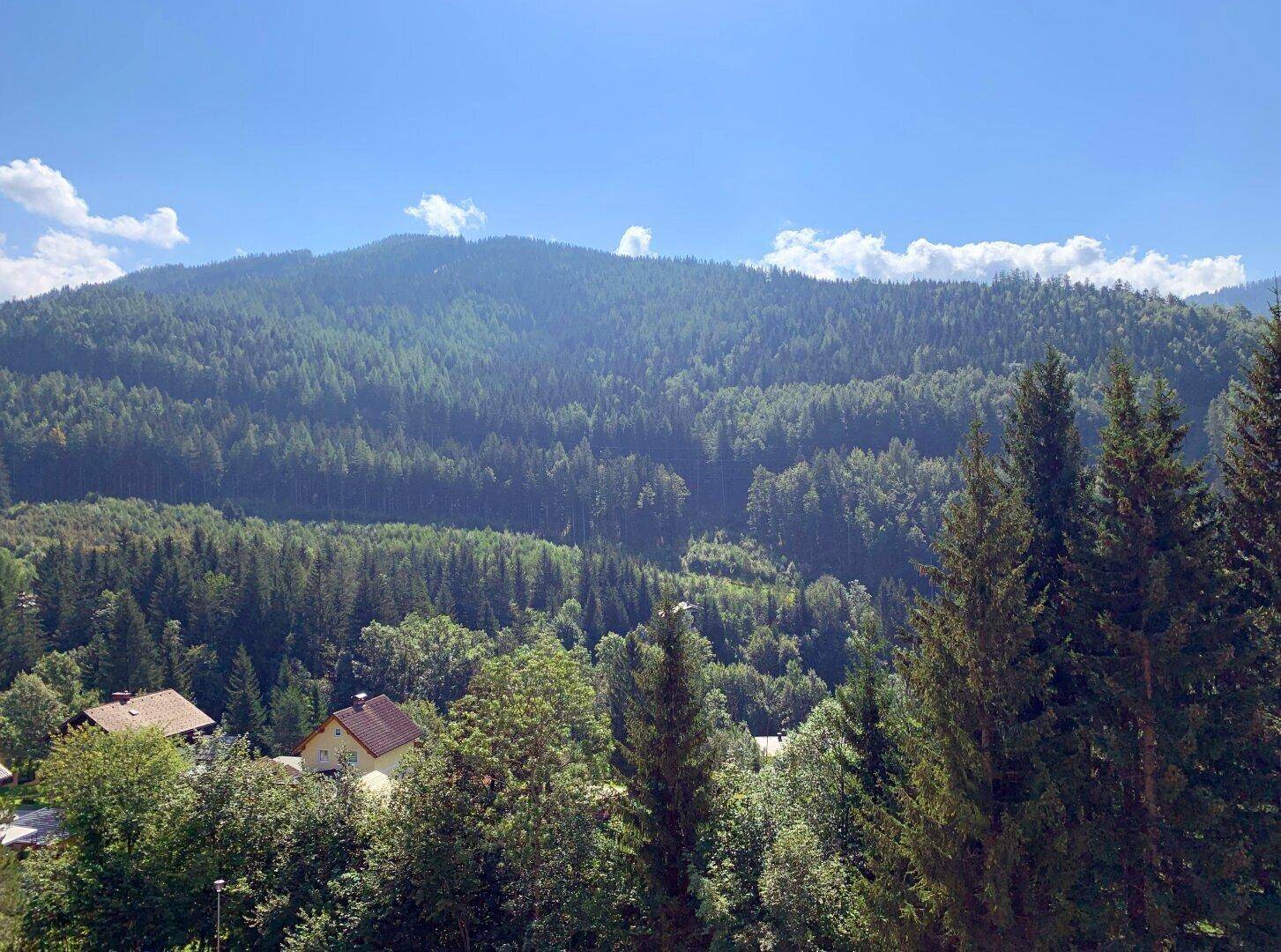 Panoramablick auf die dichten Wälder und majestätischen Berge unter blauem Himmel.