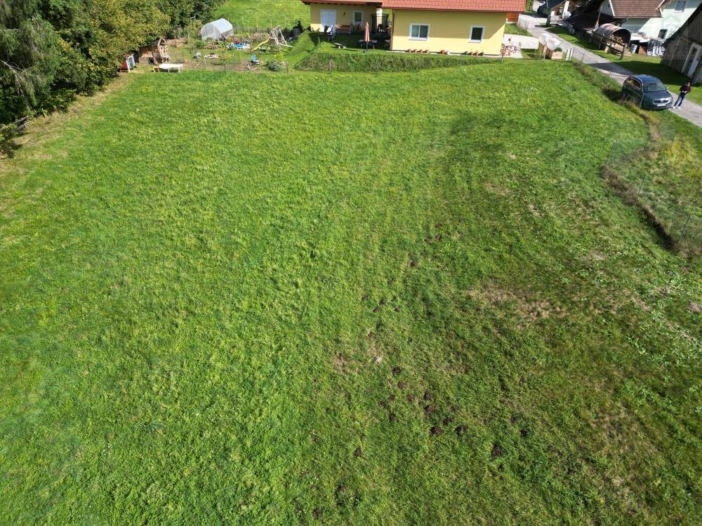 Übersichtliche Luftaufnahme eines weitläufigen grünen Grundstücks mit angrenzenden Häusern und Bäumen.