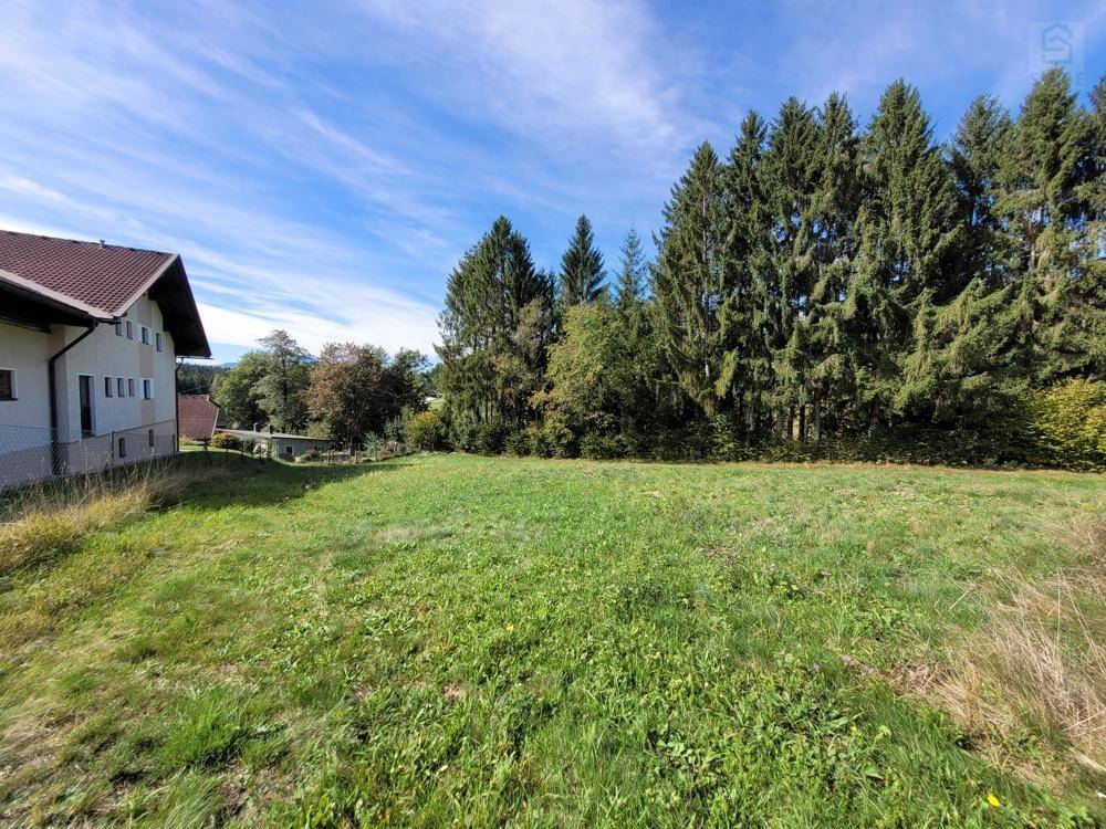 Wernberg/Umberg: sonniges Grundstück in ruhiger Aussichtslage! - Ansicht 4