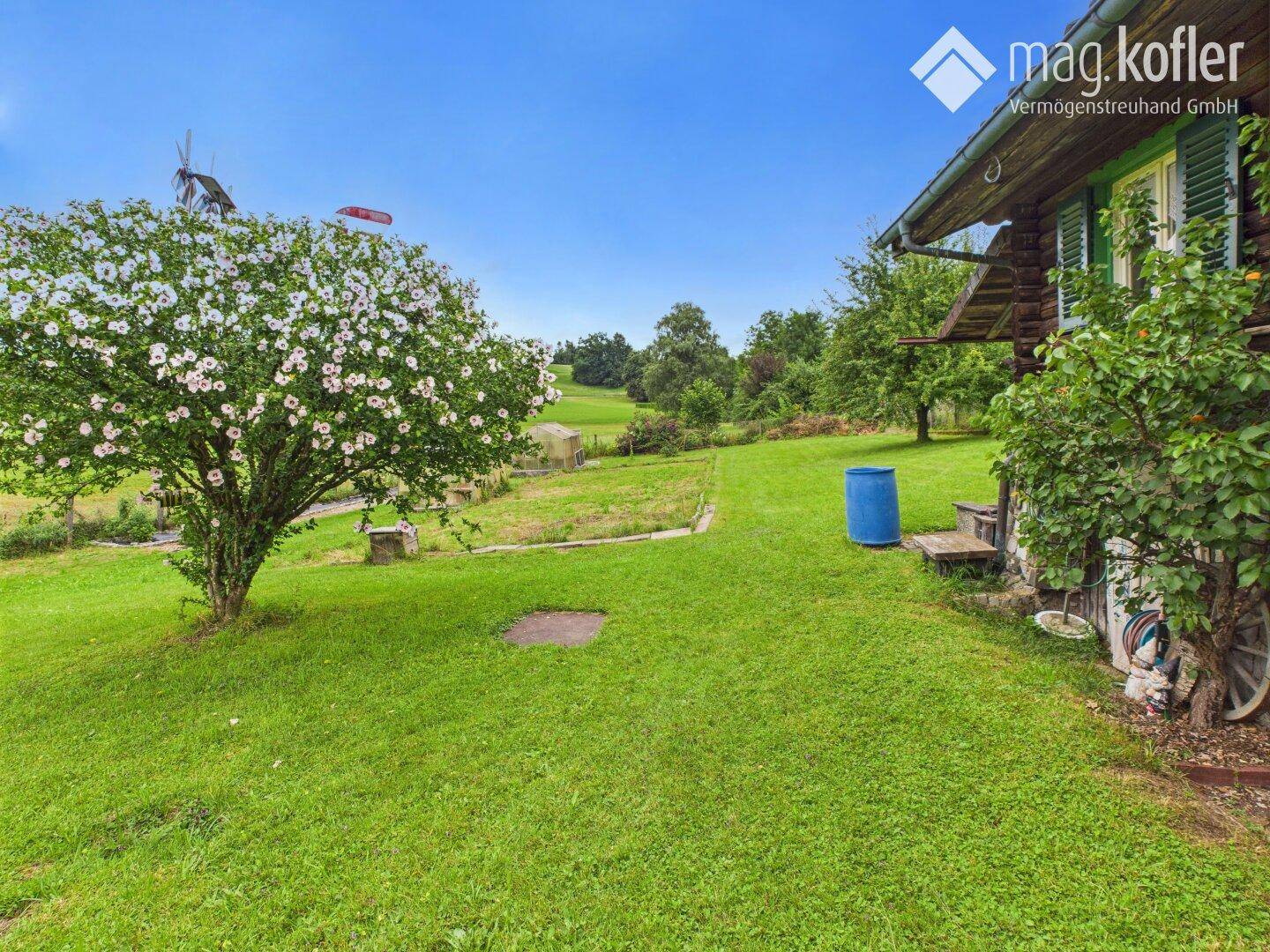 Weitläufiger Garten mit blühendem Baum und rustikalem Holzhaus im Hintergrund.