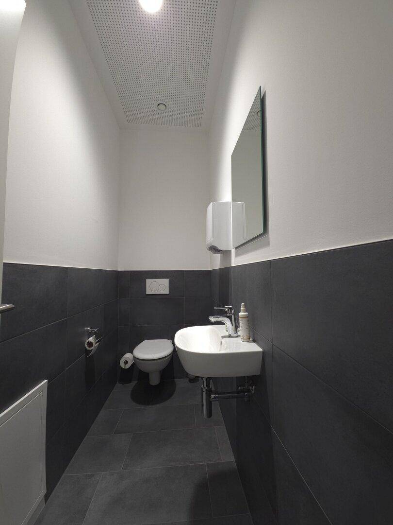Modernes WC mit dunklen Fliesen und weißer Keramik, ausgestattet mit Spiegel.