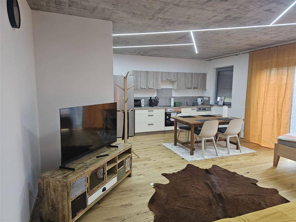 Offener Wohn-Essbereich mit integrierter Küche, Fernseher und Holzboden.