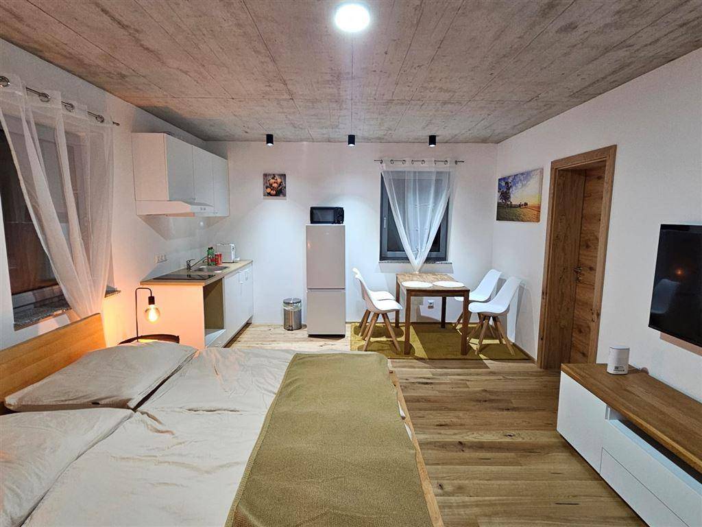 Helles Studio-Apartment mit Schlafbereich, Essplatz und kleiner Küchenzeile.