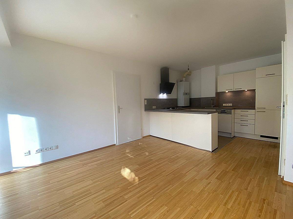 Offener Wohnbereich mit integrierter Küche, hellem Parkettboden und viel Platz.