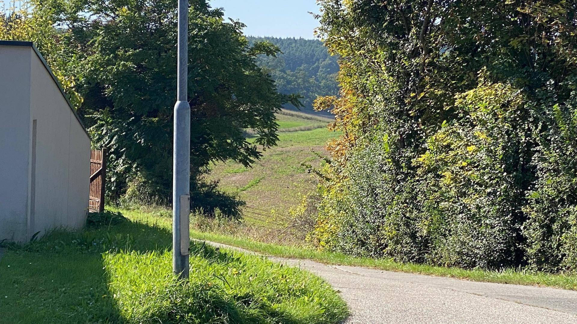 Ruhige Landstraße umgeben von üppiger Vegetation mit Blick auf sanfte Hügel und Felder.