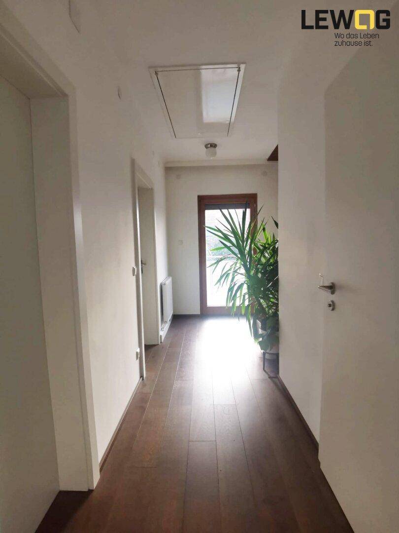 Heller Flur mit Holzboden und einer großen Pflanze, die den Eingangsbereich beleuchtet.