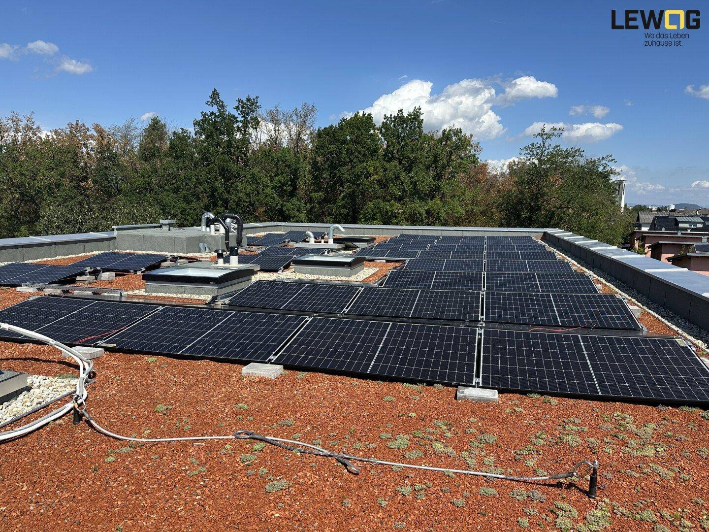 Dachfläche eines Gebäudes mit zahlreichen Photovoltaikmodulen unter klarem Himmel.