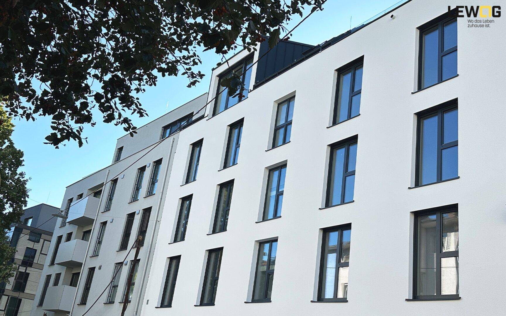 Moderne weiße Fassade eines Mehrfamilienhauses mit dunklen Fensterrahmen und Baum im Vordergrund.
