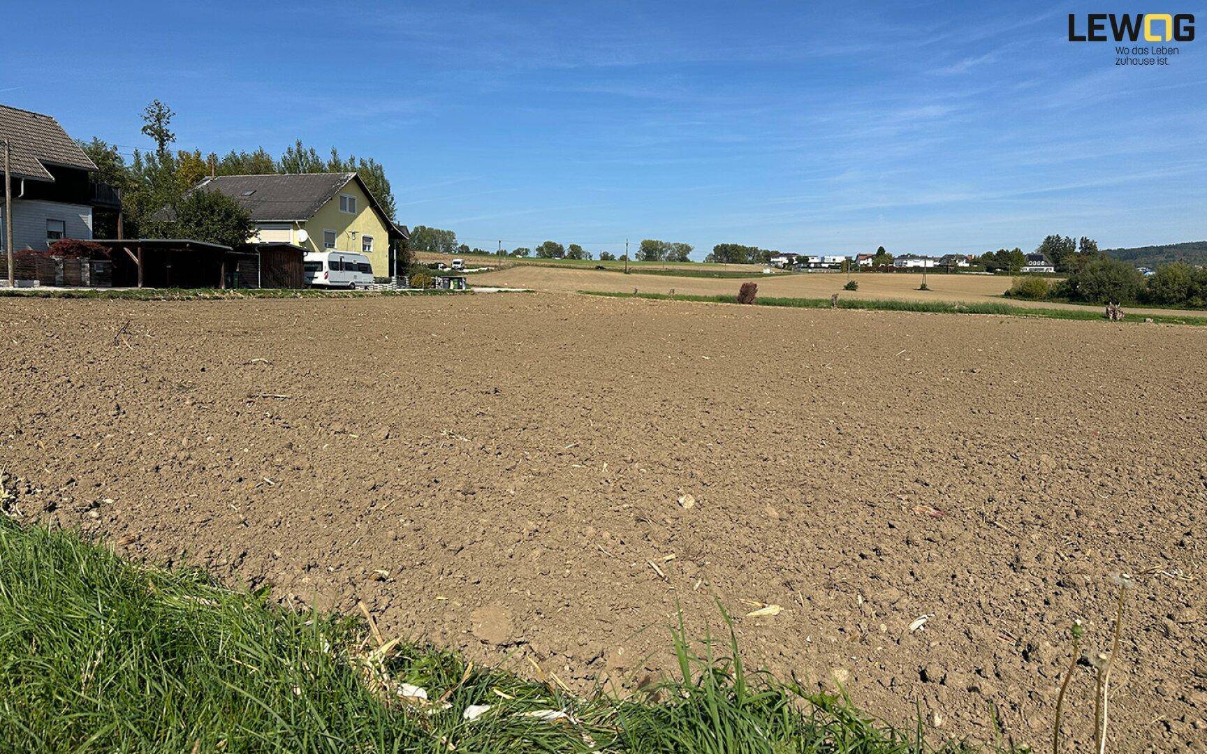 Weites, unbebautes Feld unter blauem Himmel mit Häusern im Hintergrund, ideal für ein neues Bauprojekt.