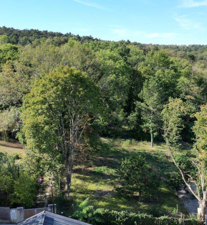 Weitläufige grüne Landschaft mit dichtem Baumbestand und Hügeln unter blauem Himmel.