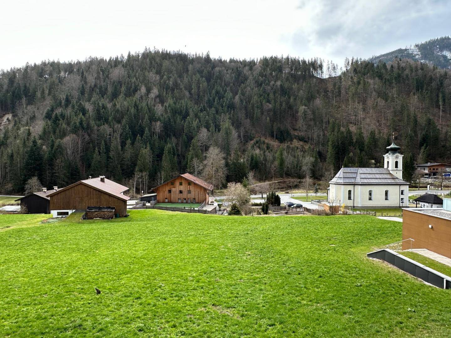 Freier Ausblick auf die Wiese unter dem Haus