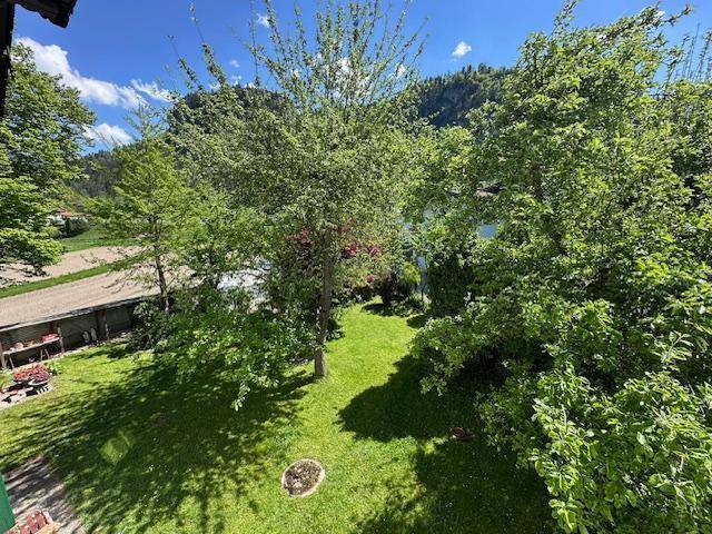 Ausblick Küche in den Garten