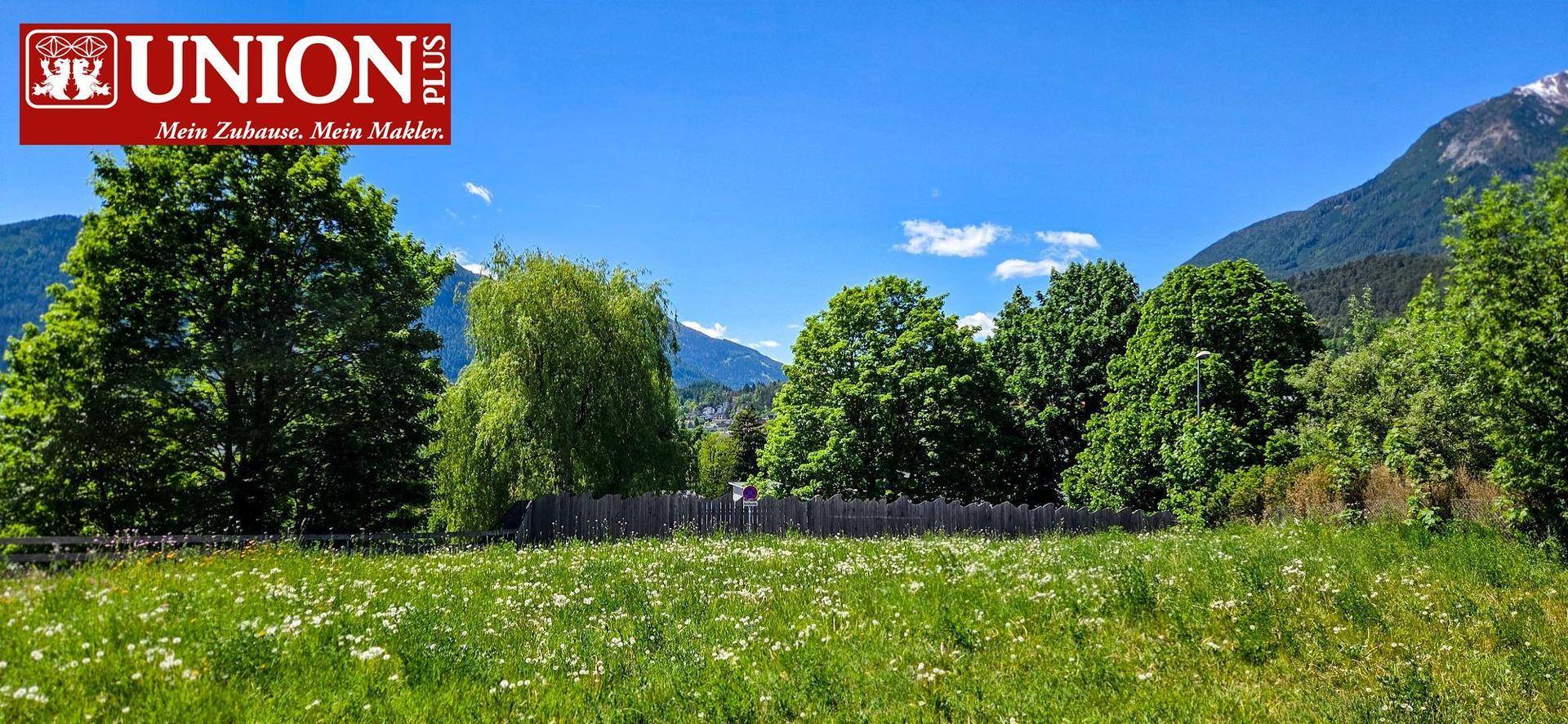 Grüne Wiese mit blumenbewachsenem Gras und einer Reihe von Bäumen, darunter eine Trauerweide, vor einer Bergkulisse.