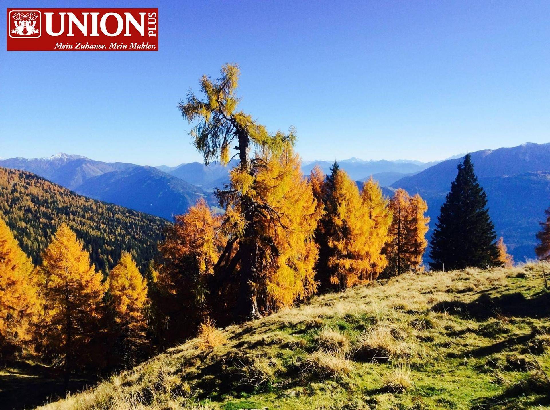 Herbstliche Berglandschaft mit leuchtend gelben Bäumen und weitem Blick auf die umliegenden Gipfel.